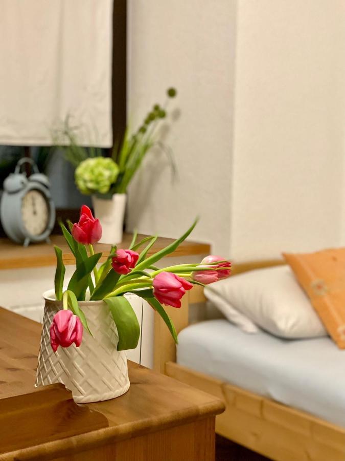 Meißen Ferienwohnung Am Weinberg מראה חיצוני תמונה